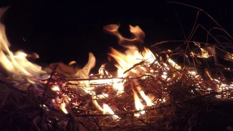 Burning flame dry field fire Stock Footage 73748229