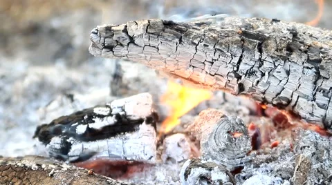 Burning flame in forest with charcoal Video stock 48409635