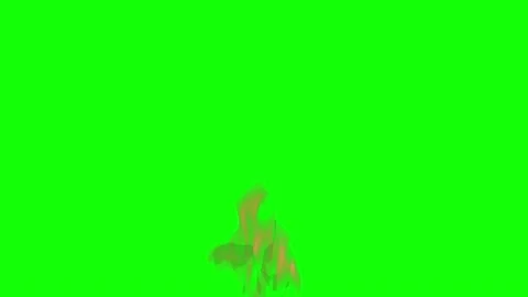 Burning flame on a green screen 動画素材 146604498