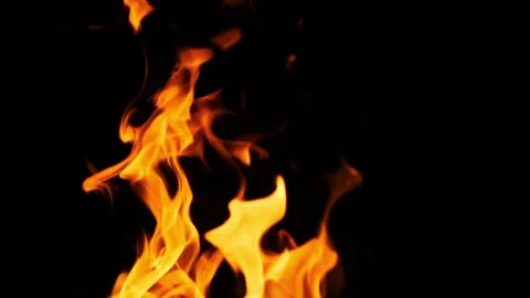 Burning Flames on Black Background Stock-Footage 303703754