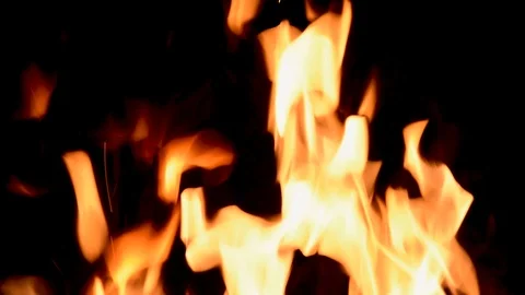 Burning flames at night. Fire on a black background Stock Footage 95528440