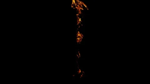 Burning flames from start to finish with ProRes Stock Footage 303010681