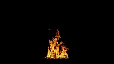 Burning flames from start to finish with ProRes Stock Footage 303011276