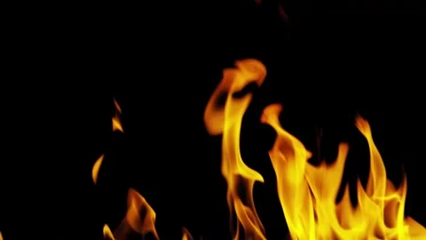 Burning flames from start to finish with ProRes Stock Footage 303011502
