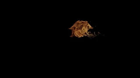 Burning flames from start to finish with ProRes Stock Footage 303011555