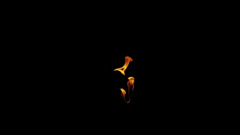 Burning flames from start to finish with ProRes Stock Footage 303011565