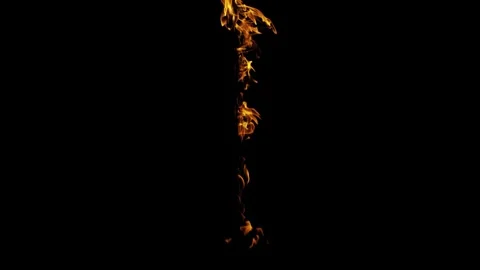 Burning flames from start to finish with ProRes Stock Footage 303011566
