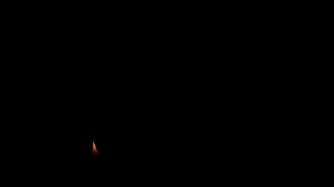 Burning flames from start to finish with ProRes Stock Footage 303011744
