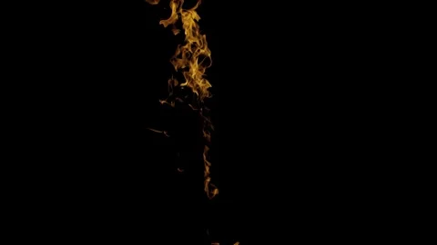 Burning flames from start to finish with ProRes Stock Footage 303011840