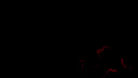 Burning flames from start to finish with ProRes Stock Footage 304901647