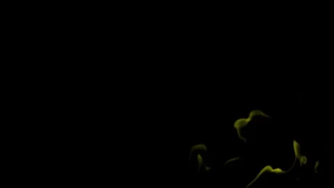 Burning flames from start to finish with ProRes Stock Footage 304901665