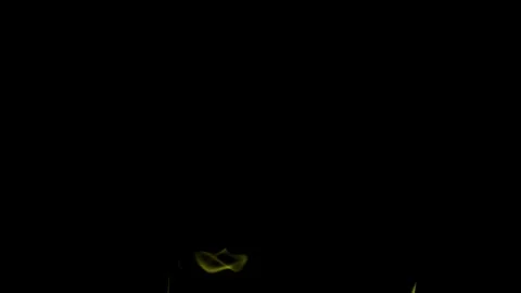 Burning flames from start to finish with ProRes Stock Footage 304902361