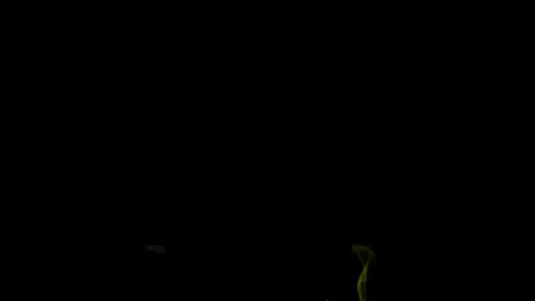 Burning flames from start to finish with ProRes Stock Footage 304902363