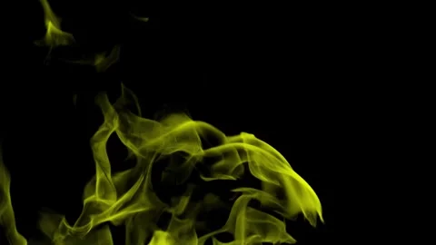 Burning flames from start to finish with ProRes Stock Footage 304902391