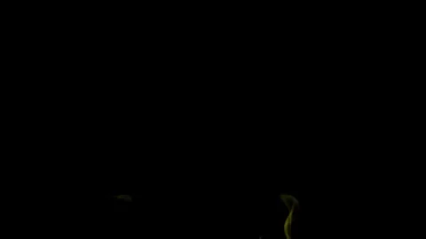 Burning flames from start to finish with ProRes Stock Footage 304902488