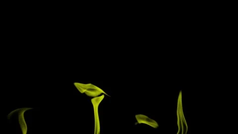 Burning flames from start to finish with ProRes Stock Footage 304902508