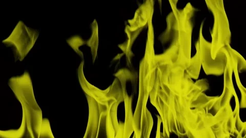 Burning flames from start to finish with ProRes Stock Footage 304902587