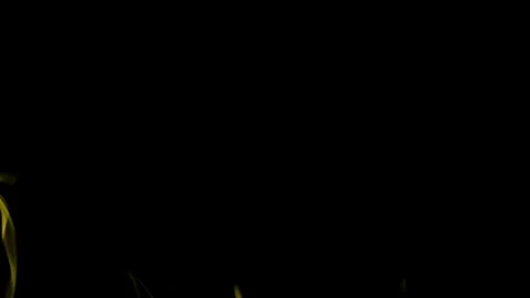 Burning flames from start to finish with ProRes Stock Footage 304902650