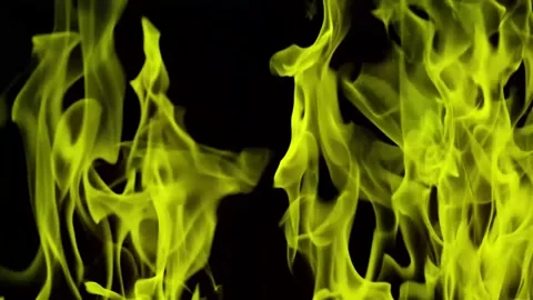 Burning flames from start to finish with ProRes Stock Footage 304902966