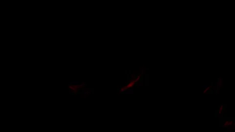 Burning flames from start to finish with ProRes Stock Footage 304903064