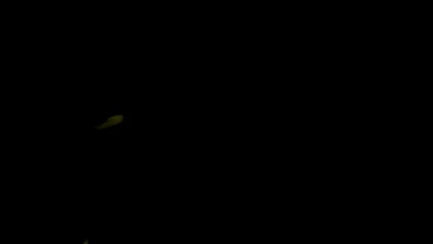 Burning flames from start to finish with ProRes Stock Footage 304903116