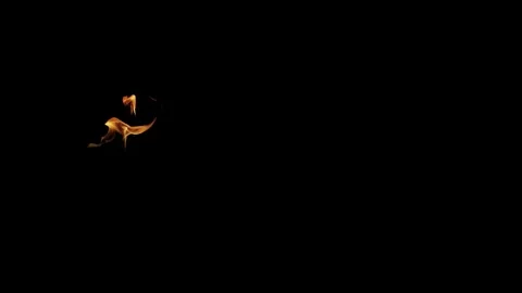 Burning flames from start to finish with ProRes Stock Footage 305081431