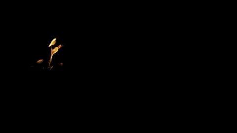 Burning flames from start to finish with ProRes Stock Footage 305081437