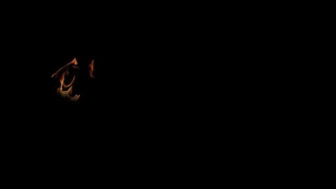 Burning flames from start to finish with ProRes Stock Footage 305081439