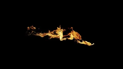 Burning flames from start to finish with ProRes Stock Footage 305081475