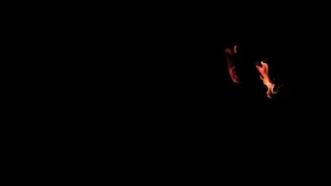 Burning flames from start to finish with ProRes Stock-Footage 305788746