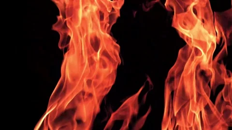 Burning flames from start to finish with ProRes Stock Footage 305788902