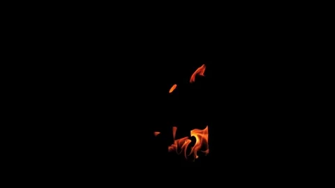 Burning flames from start to finish with ProRes Stock Footage 305788982