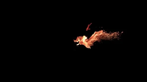 Burning flames from start to finish with ProRes Stock Footage 305789001
