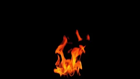 Burning flames from start to finish with ProRes Stock-Footage 305789053