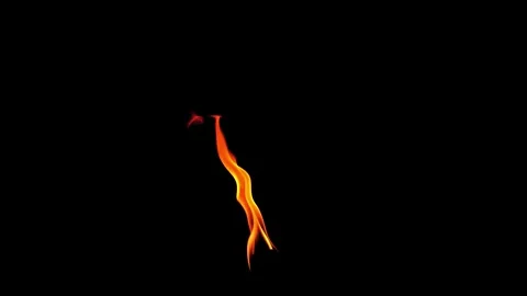 Burning flames from start to finish with ProRes Stock Footage 305789090