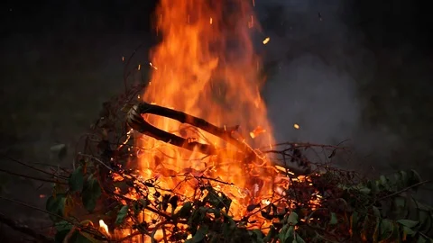 Burning flames on a wood fire or campfire Stock Footage 86044521