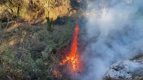 Burning 動画素材 147454947