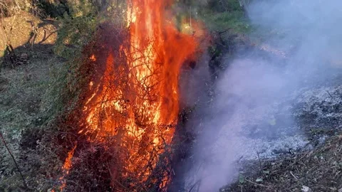 Burning 動画素材 147455019