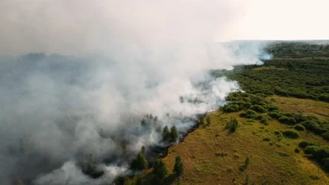 Burning forest and huge clouds of smoke. Climate change, ecology, earth Stock-Footage 160323599
