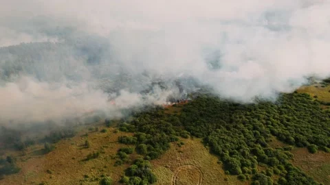 Burning forest and huge clouds of smoke. Climate change, ecology,  스톡 동영상 160324802