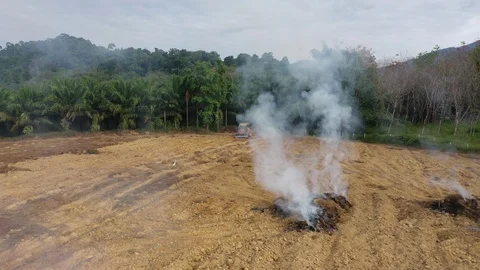 Burning forest Stock Footage 122795816