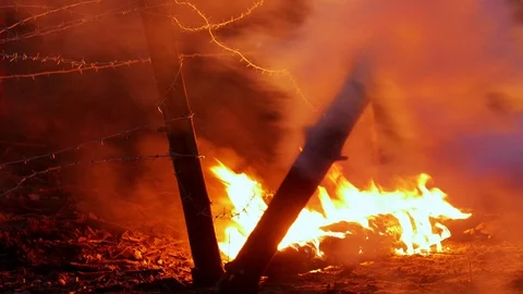 A burning forest at night time Stock Footage 118551042
