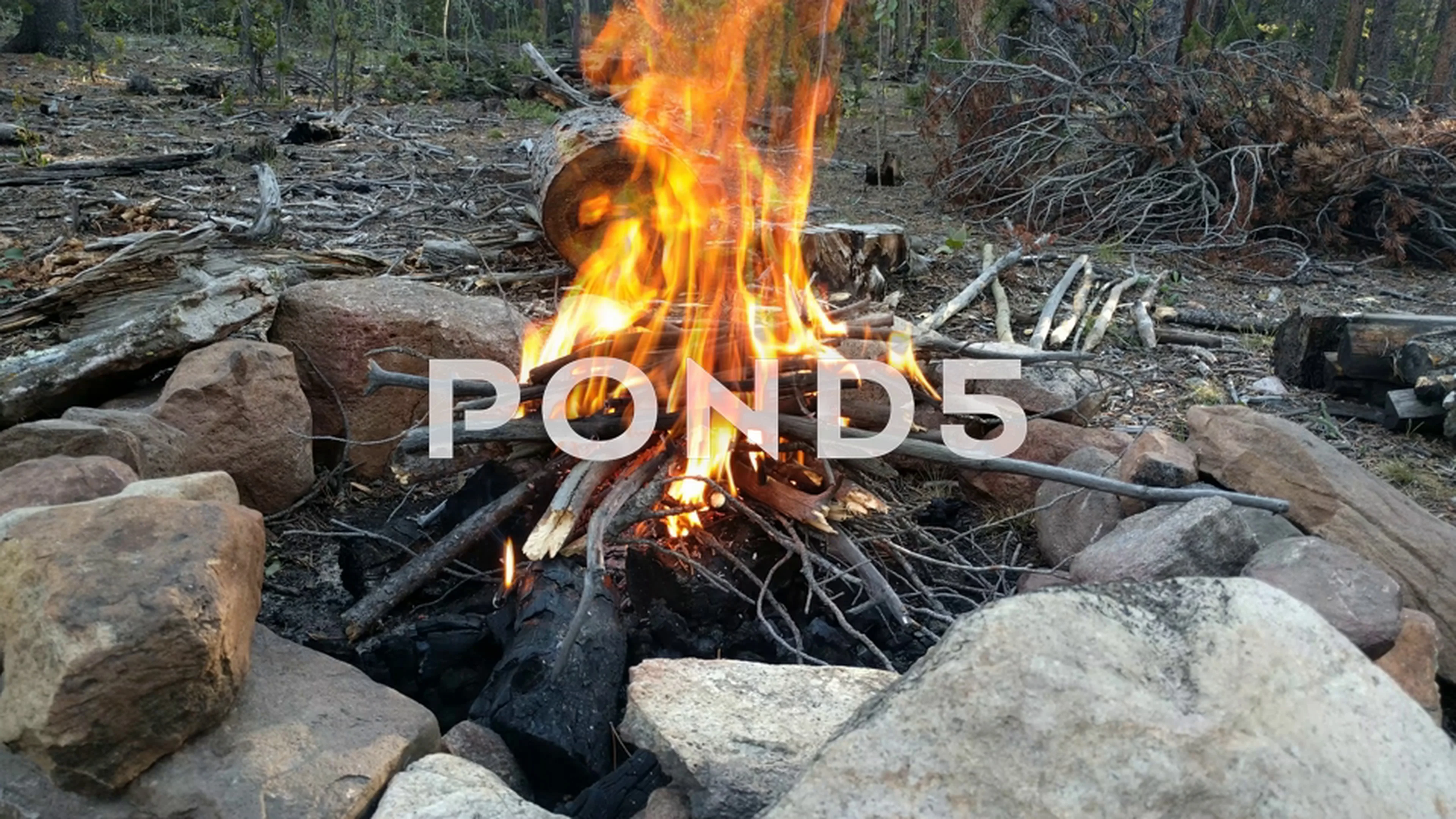 Burning Forest Wood In Fire Pit Made Of Large Rocks Hi Res