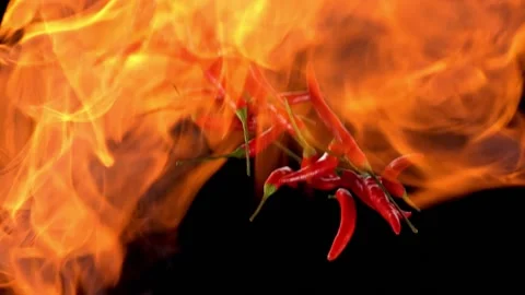 Burning fried chili pepper Stock Footage 130965694