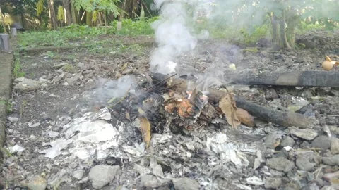 Burning garbage 2 Stock Footage 234721960