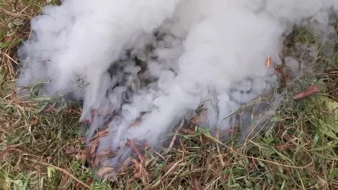 Burning garbage and dry leaves at the garden Stock Footage 292235585