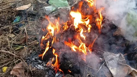 Burning garbage and dry leaves at the garden Stock Footage 293118165