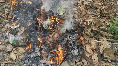 Burning garbage and dry leaves in the backyard Stock Footage 320495442