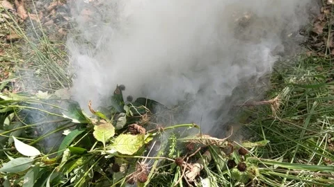 Burning garbage and dry leaves in the backyard Stock Footage 320496059
