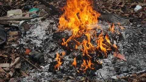 Burning Garbage in the Backyard Stock Photos